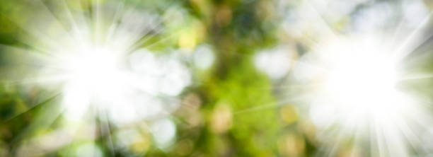 istock image of beautiful abstract natural background. 1154983523