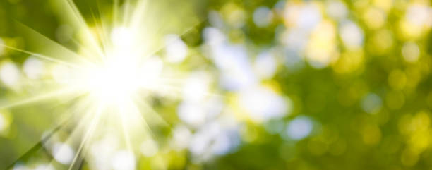 istock image of beautiful abstract natural background. 1154983524