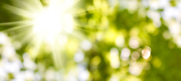 istock image of beautiful abstract natural background. 1154983545