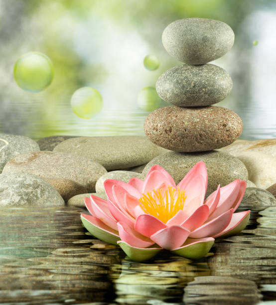 istock image of lotus and stones on water 1154983872