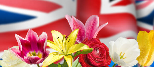 istock image festive flowers on England flag background 1154985254