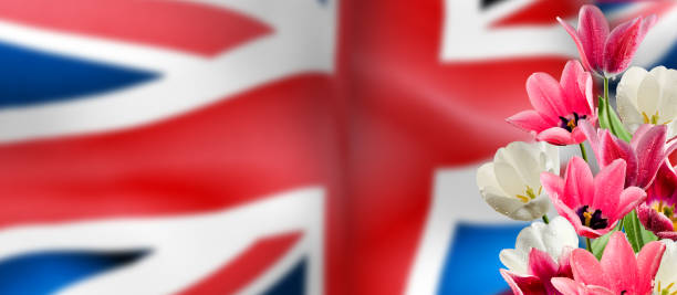 istock image festive flowers on England flag background 1154985309