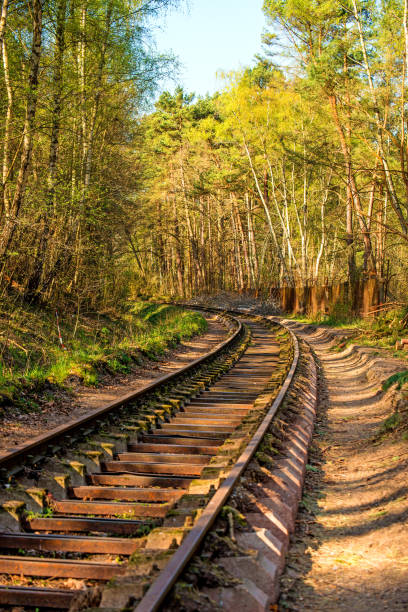 istock rails out of order in a forest in Poland 1154985365