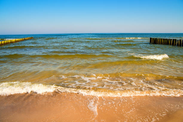 Baltic Sea with groins and surf and blie sky