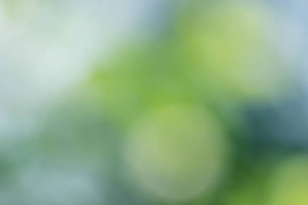 istock Abstract blurred green and white color background. 1154985570