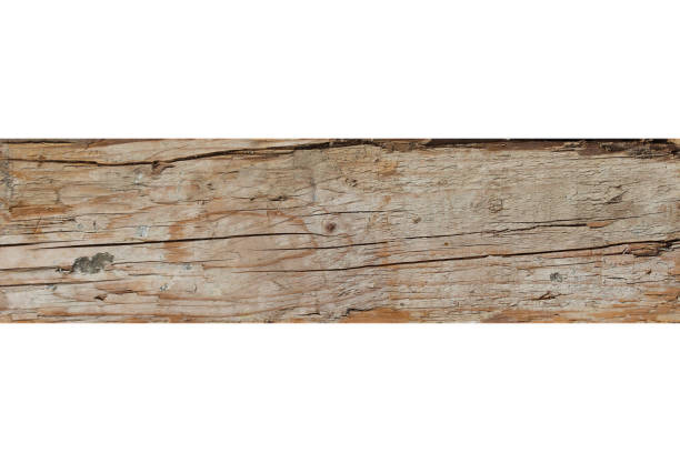 Wood Board Texture. Surface of Rustic, Vintage Wooden Plank with Natural Color and Pattern