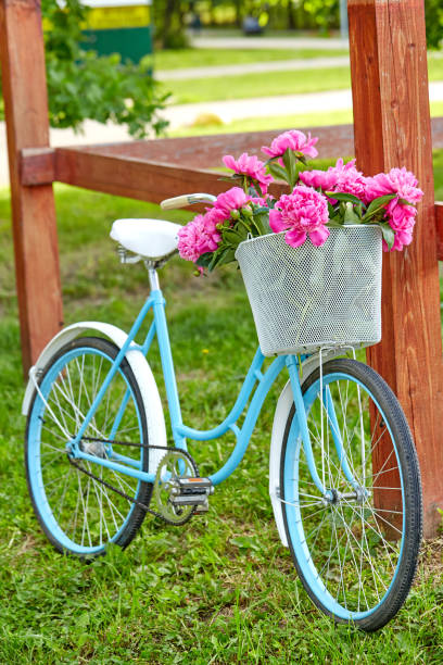 istock bicycle with flowers in a basket 1154990537