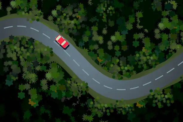 Vector illustration of Top view of a forest road with car. Rural highway, beautiful landscape. Holidays travel vector cartoon illustration.