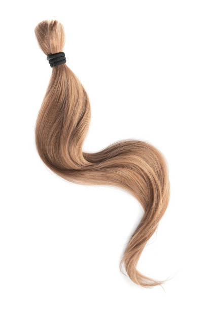 istock Brown hair isolated on white background. Long wavy ponytail 1154995643