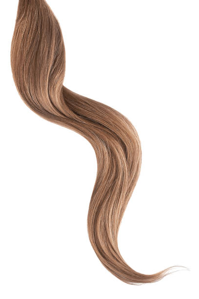 istock Brown hair isolated on white background. Long wavy ponytail 1154995676
