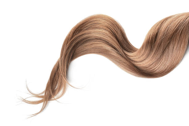 istock Brown hair isolated on white background. Long wavy ponytail 1154995677