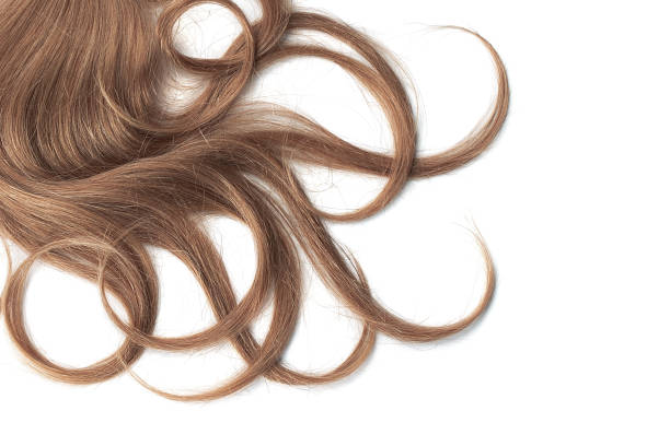 istock Curly brown hair isolated on white background. Circle shape 1154995719