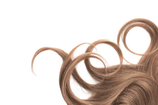 istock Curly brown hair isolated on white background. Circle shape 1154995723