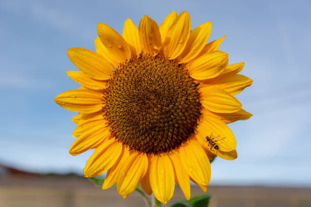 Beautiful photo used for tourism advertising, design, printing, marketing, ideas, magazine and more