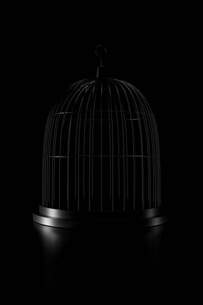 istock Light and shadow of bird cage in the darkness. 3D rendering. 1155004350