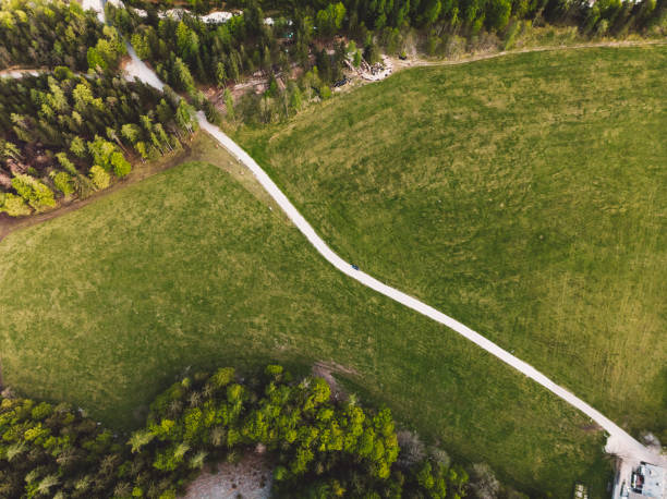 istock Sunny meadow with a path in Julian Alps in Slovenia 1155007100