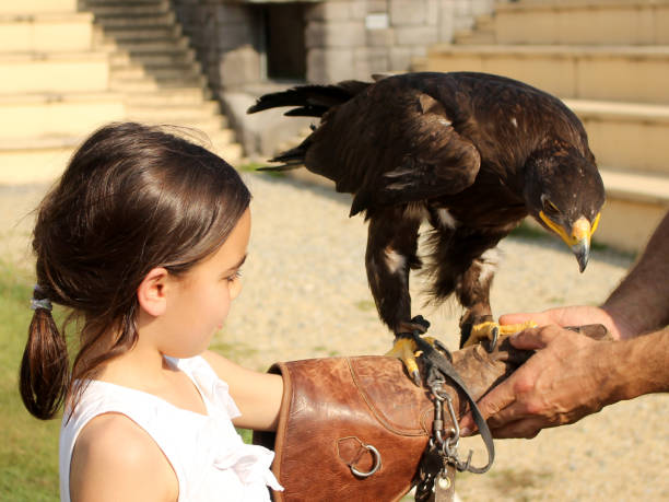 istock Girl with Bird 1155007640