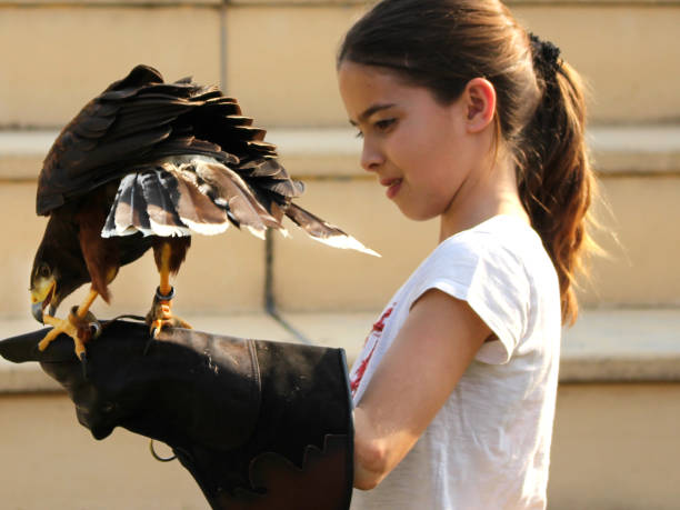 bird training