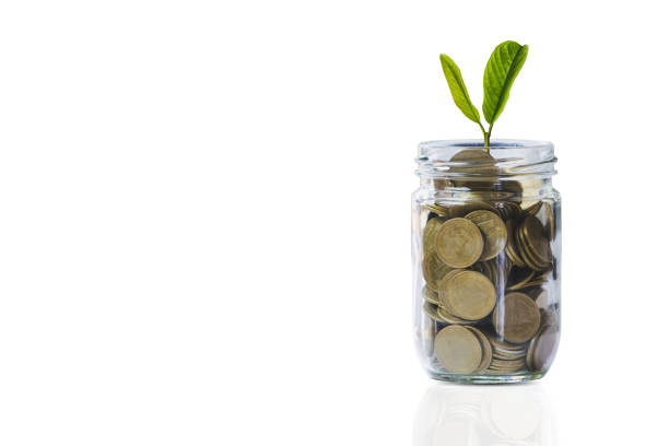 istock coins in glass jar with plant concept on white background. 1155012016