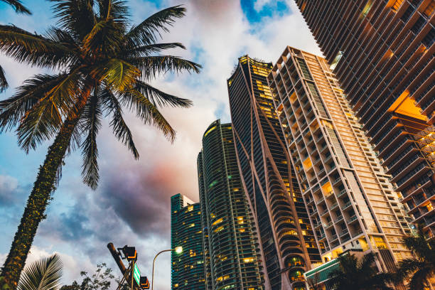 dramatyczny zachód słońca w miami na florydzie, przy biscayne boulevard - miami florida skyline panoramic florida zdjęcia i obrazy z banku zdjęć