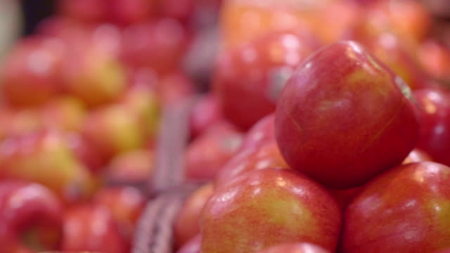 Organic Apple - Fruit