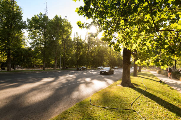 Santiago, Region Metropolitana, Chile - December 11, 2018: Traffic in the Forestal Park at downtown with a setting sun.