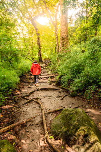 istock Hiking in Rincon de la Vieja 1155016493