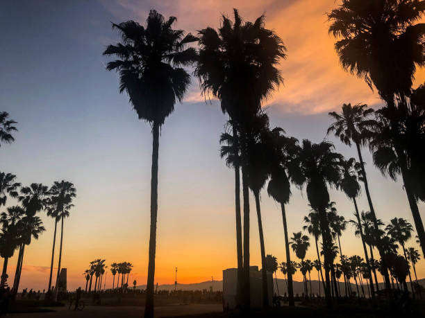 istock Colorful sunset over Venice beach, CA with marine layer 1155018140