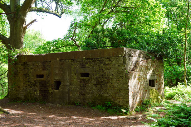 istock Old overgrown pillbox in the woodland 1155020702