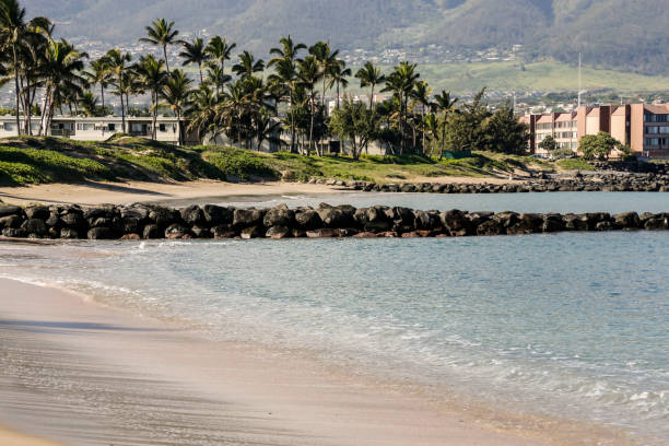 istock deserted beach with palm trees and building on shore line 1155020745