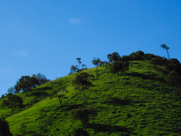 istock hill with green grass and some trees under a blue sky 1155021953