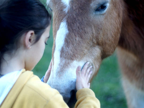 Boy giving his horse a hug