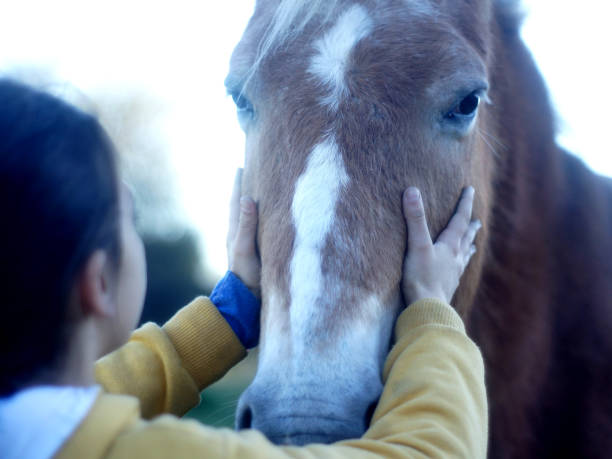 istock Girl with horse 1155024874