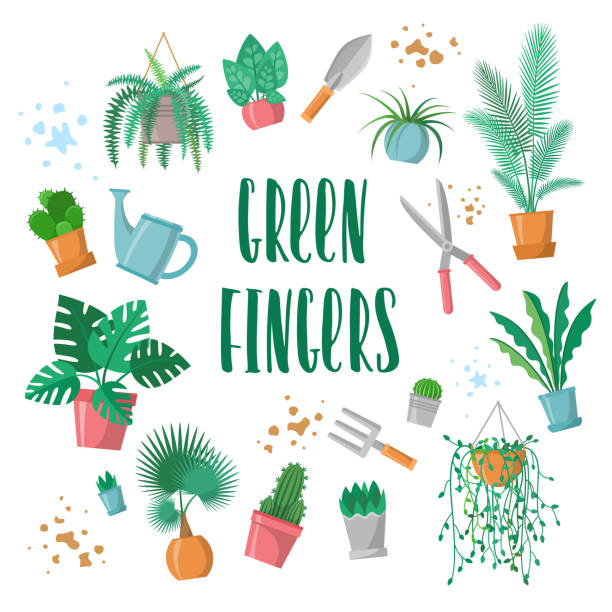Green fingers sign with garden tools, home plants and mud, phrase for plants lovers, scissors, fork, trowel, watering pot, palm, cactus, fern, vector Green fingers sign with garden tools, home plants and mud, phrase for plants lovers, scissors, fork, trowel, watering pot, palm, cactus, fern, vector illustration green fingers stock illustrations