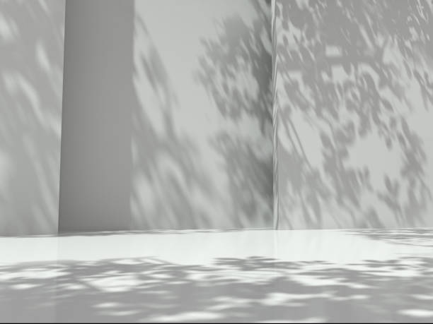 istock Pedestal for display,Platform for design,Blank product,Empty room with Tree shadow on the wall .3D rendering. 1155026909