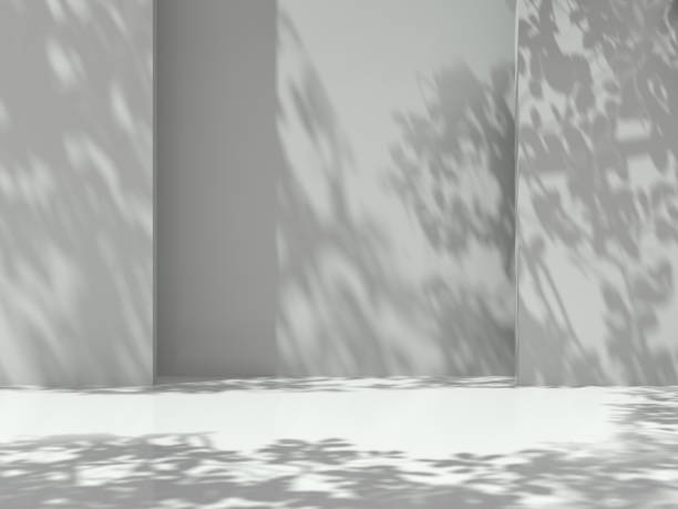 Pedestal for display,Platform for design,Blank product,Empty room with Tree shadow on the wall .3D rendering.