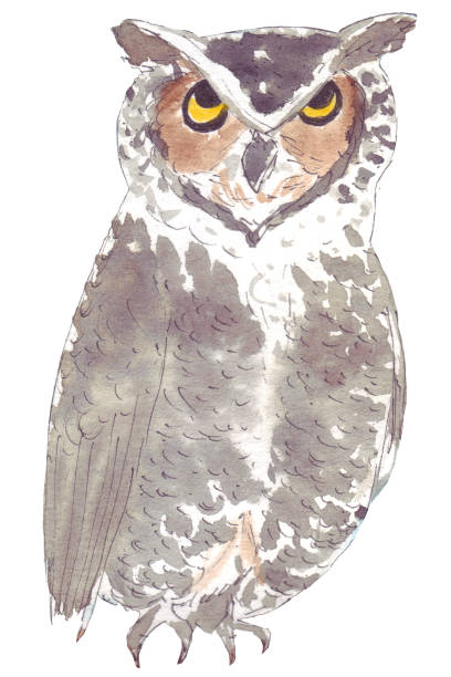 istock Owl. Bright and beautiful bird that amazes everyone with its clear voice and melodic singing 1155031466