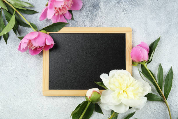 istock Gorgeous peonies in feminine minimal floral composition with copy space for text. 1155032590