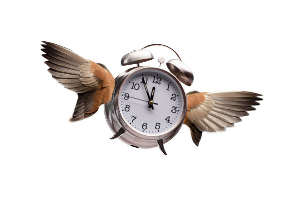 времена летит концепция с крыльями на будильник в небе - время летит стоковые фото и изображения