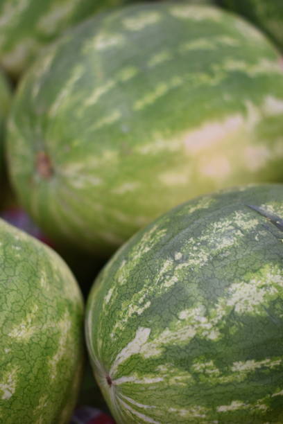 istock Watermelons for Sale 1155038384