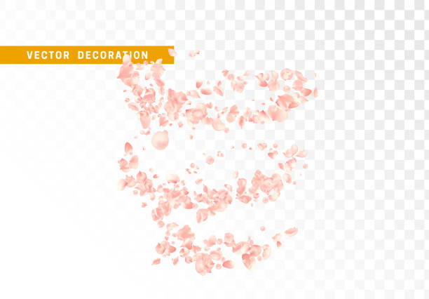 Pink flower petals are flying circling isolated on transparent background. Pink flower petals are flying circling isolated on transparent background rose petal stock illustrations