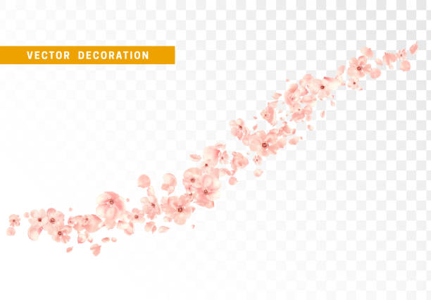 Pink flower petals and bud are flying circling isolated on transparent background. Pink flower petals and bud are flying circling isolated on transparent background rose petal stock illustrations