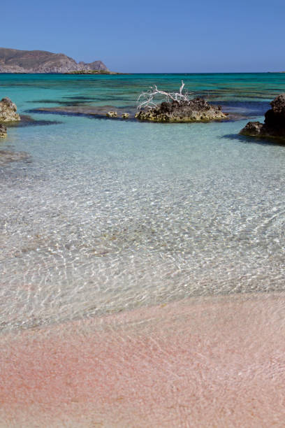 istock Gorgeous nature at Elafonisi, Crete 1155040561
