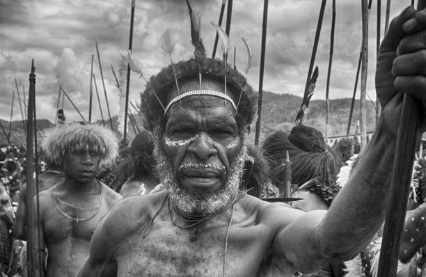 les guerriers dani au baliem valley festival - dani photos et images de collection