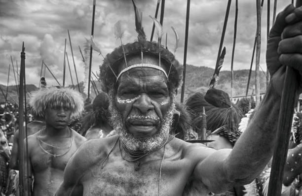 Dani warriors at the Baliem Valley Festival The Dani people are a people from the central highlands of western New Guinea. They are one of the most populous tribes in the highlands, and are found spread out through the highlands. dani stock pictures, royalty-free photos & images