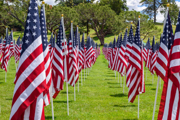 istock American flags on a green grass 1155044081