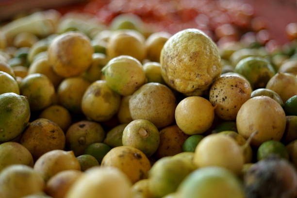 istock Fresh lemon for sale at vegetable market 1155047986