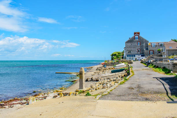 il sentiero della costa di swanage con la marea appena regredita - scenics coastline uk moss foto e immagini stock