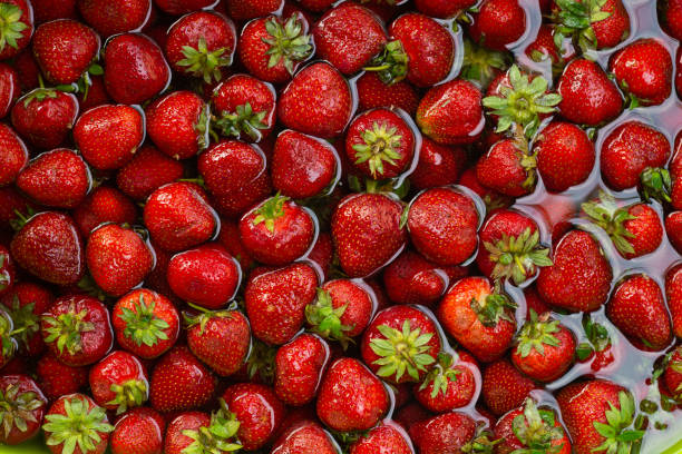 たくさんの熟したイチゴが水の中で洗われる - washing fruit preparing food strawberry ストックフォトと画像