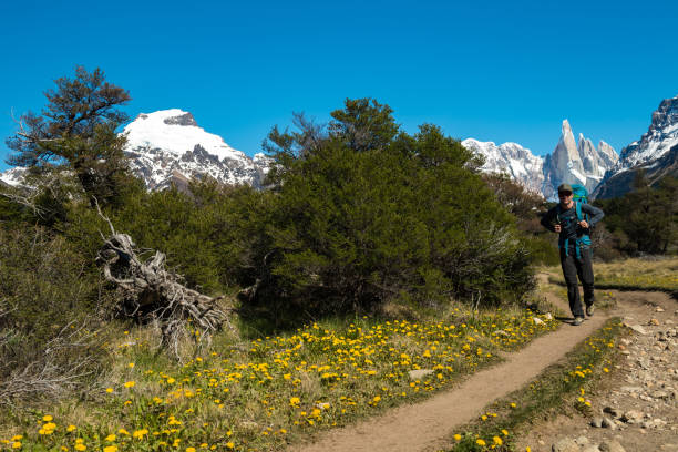 Full length of hiker walking on pathway. Male backpacker is exploring forest. He is enjoying mountain landscape.